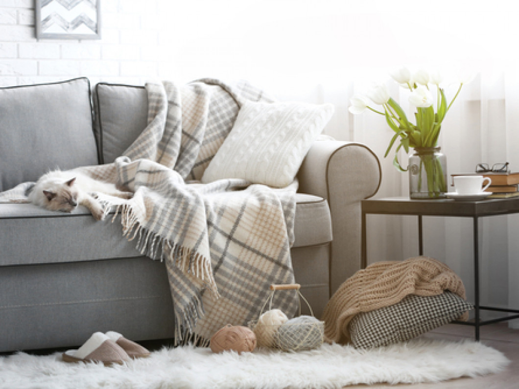 Furniture Assembling And Disassembling Services Boise Meridian